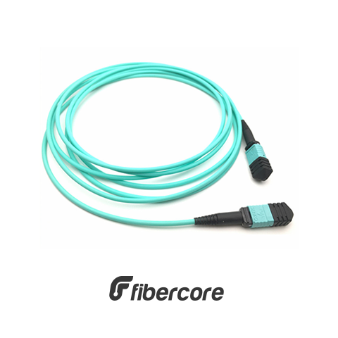 PATCH CORD MM MPO (F) OM3 8 FIBRAS TIPO B